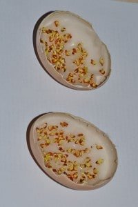 Dekoracje, dekoracje wielkanocne, Dekoracje świąteczne, Jajka, pisanki, Wielkanoc, Święta