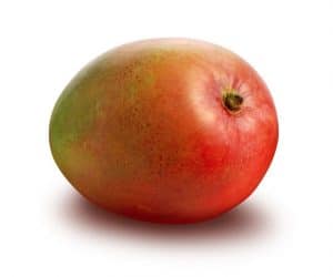 Jak wyhodować mango w doniczce