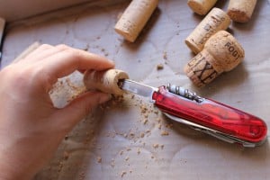 magnesy doniczki na lod&oacute;wkę z roślinkami