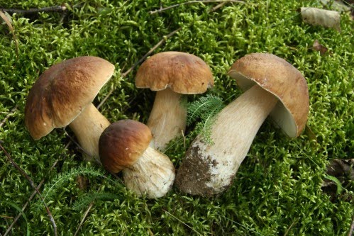 Sposoby na nadwrażliwe zęby