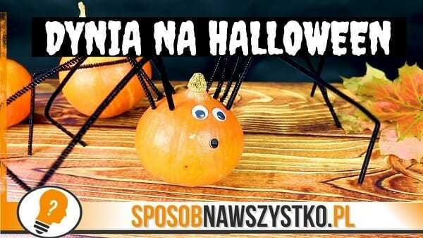 Dynia na Halloween – Pająk z dyni