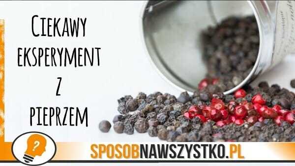 Eksperymenty dla dzieci – MAGICZNY PALEC